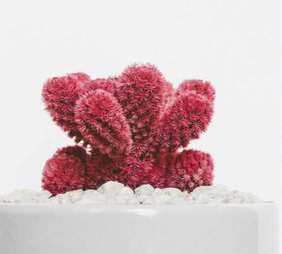 在线商城正规的DDOS攻击器