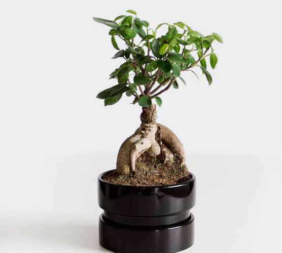 靠谱的自助网站求的DDOS网页端平台