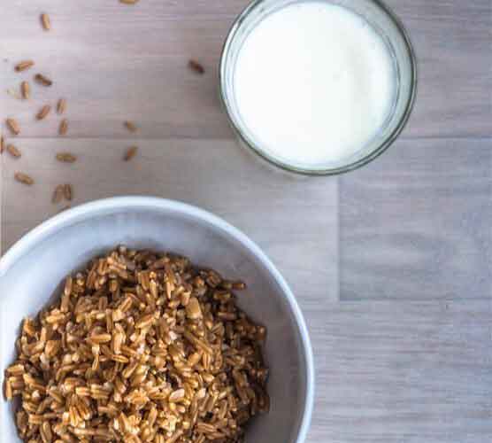 ddos攻击ip软件下载