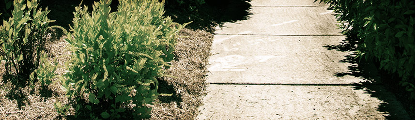 系统优化软件的在线ddos网页端